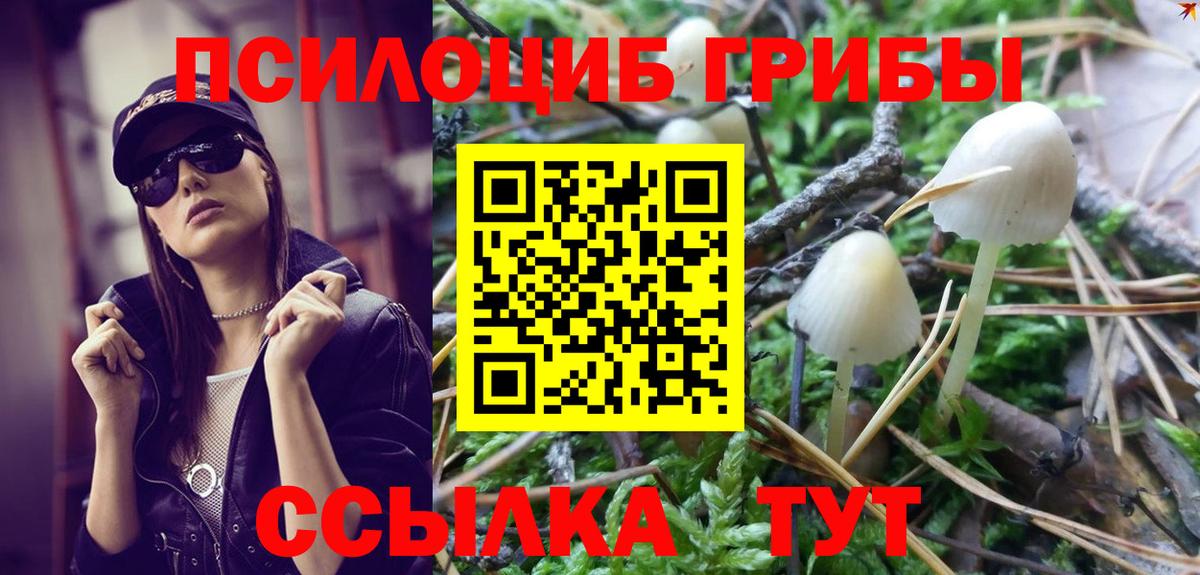 Галлюциногенные грибы GOLDEN TEACHER  Псилоцибиновые грибы Psilocybine cubensis  Вход с VPN  Отрадный 