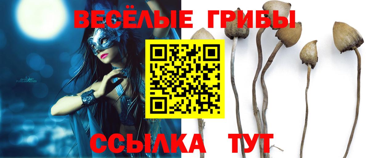 Галлюциногенные грибы мухоморы Отрадный